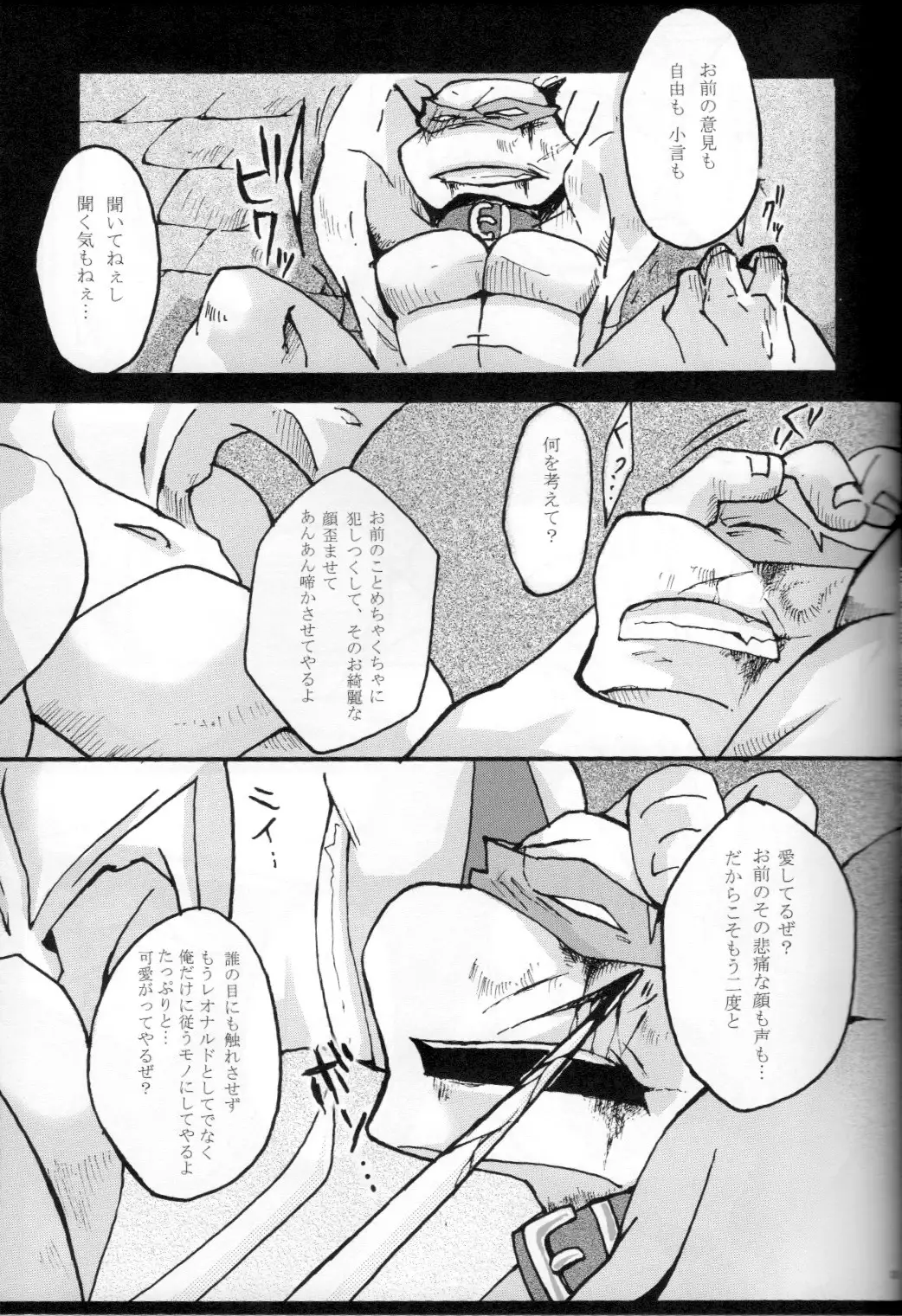 FALLEN - Raph vs Leo - Teenage Mutant Ninja Turtles, TMNT doujinshi