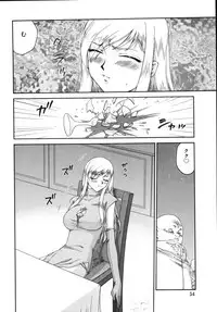 [Taira Hajime] Type-H