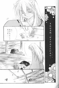 (CR33) [Sakurakan (Seriou Sakura)] Hoshikuzu Drop (Inuyasha)