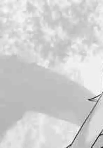 [DODOMESU3SEI] Mori ni Sumu Kaibutsu no Onnanoko no Hanashi [English]