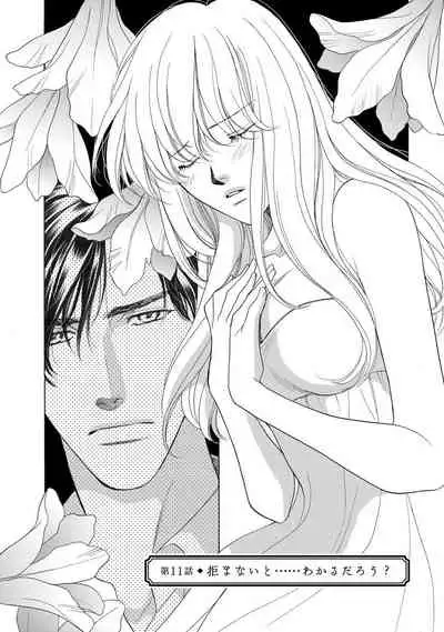 [Omi Shinano] Imouto Mekake ~Onii-sama, Mou Yurushite~ <2> [Digital]