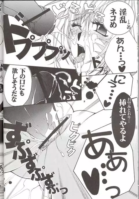 モーグリの居ない間に...