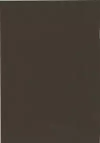 (C73) [FASTEST LAP (MIO)] Lost Property 2 (Mahou Shoujo Lyrical Nanoha)