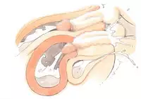 [pink-noise (Mizuiro Megane)] Mama Sho-time Kyoudai Hen