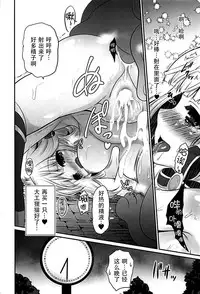 (C93) [Chiisana Kagi (Junji)] Ironeko Hikoujima Gohoushi Iris-san. (Shironeko Project) [Chinese] [脸肿汉化组]