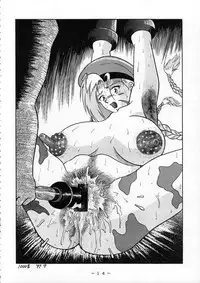 (CR22) [White Elephant (Various)] Cammy Sousa Kannou Shashinshuu (Street Fighter)