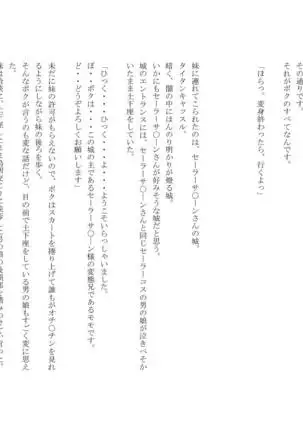 男の娘セーラー戦士W