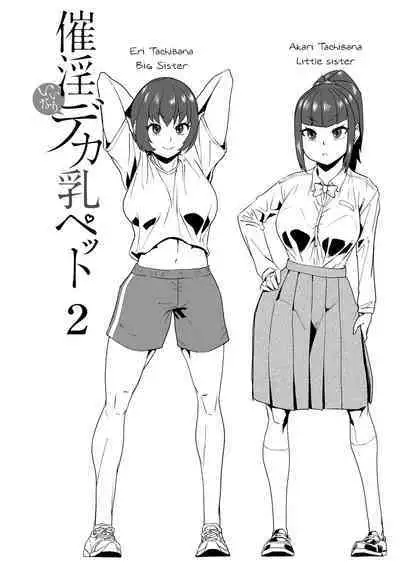 Saiin Iinari Dekachichi Pet