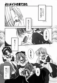 [Shikage Nagi] SUGAR CUBE DOLL