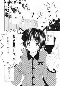 [Yuuki Rion] Love Marmot