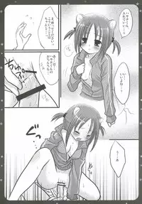 (C72) [Nagiyamasugi (Nagiyama)] Nishizawa-san ga Hamusutaa de Hatsujyouki (Hayate no Gotoku)