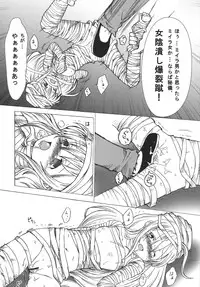 (C73) [Tsurupeta Kenkyuusho (Various)] Tsurupeta Kenkyuu Houkokusho "Tsurupeta Kyoudan no Yabou " - Turupeta Recearch Report