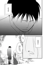 [Kyoka Suigetsu] Rh - no koi 3 (Fullmetal Alchemist)