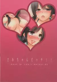 (C83) [mexe.jp (mexe, Tachibana)] Sawa-chan Bitch!! (TARI TARI)