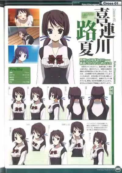 Cross Days Visual Fan Book