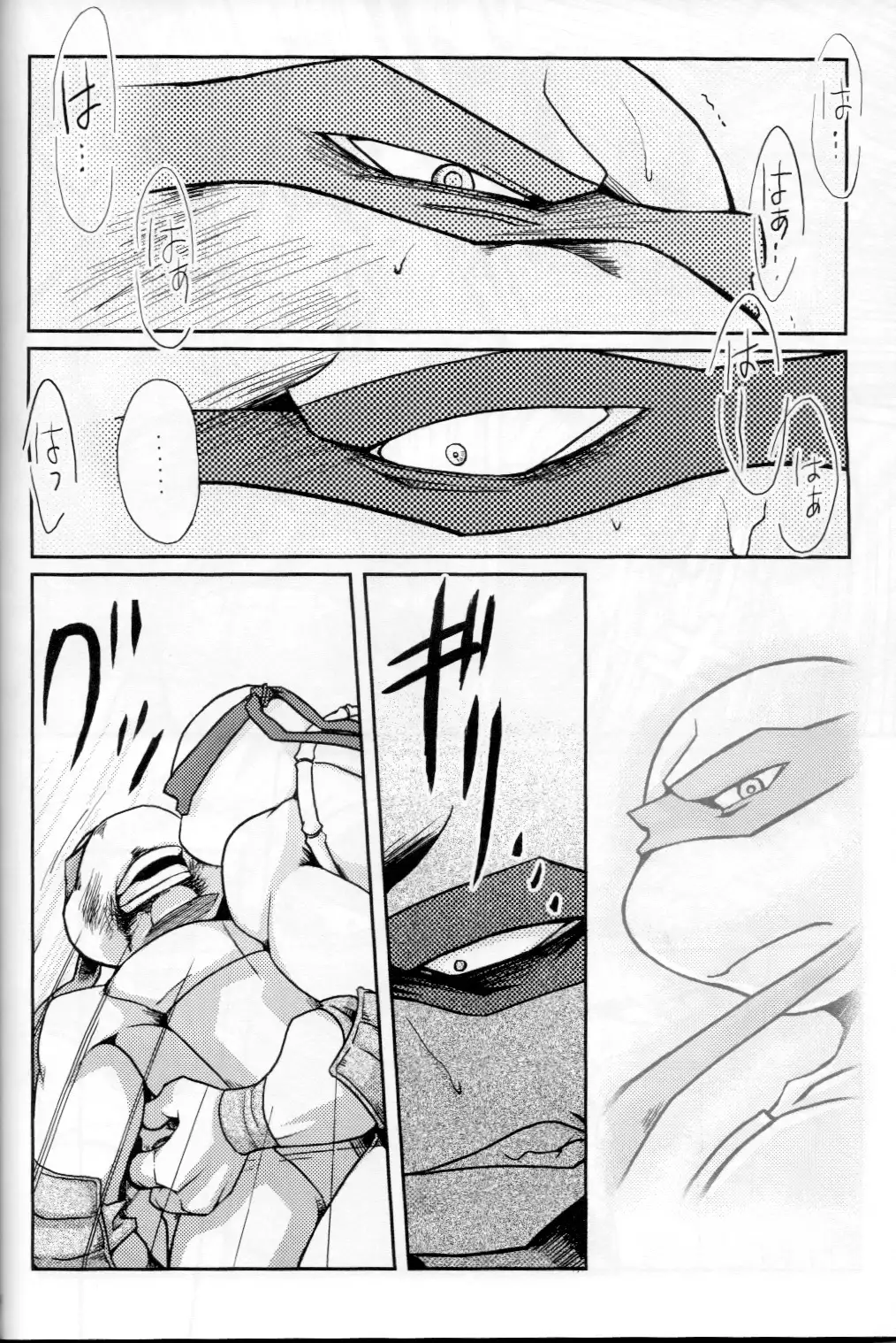 FALLEN - Raph vs Leo - Teenage Mutant Ninja Turtles, TMNT doujinshi