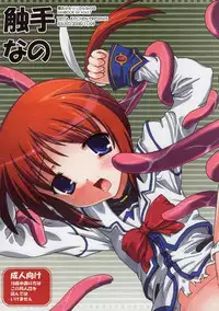 (Lyrical Magical 5) [Testa Kitchen (Testa)] Shokushu Nano (Mahou Shoujo Lyrical Nanoha)