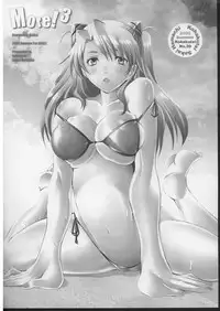 (C70) [Kohakutei (Sakai Hamachi)] More!3 (Neon Genesis Evangelion)