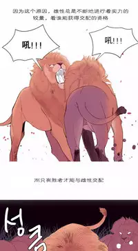 [Rozer] A World that I Rule | 我统治的世界 Ch.1-33 [Chinese]