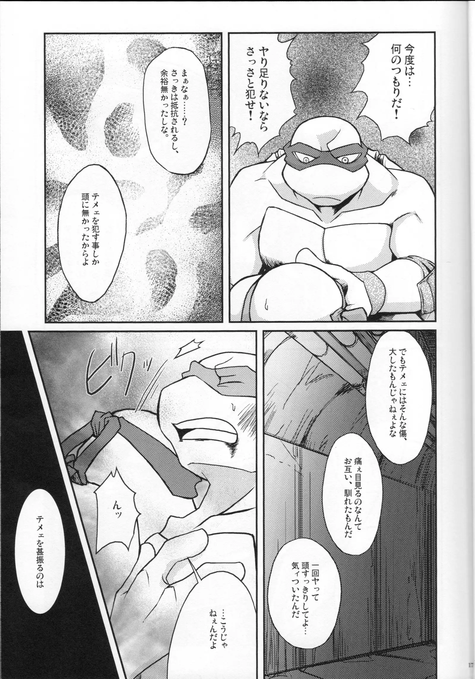 FALLEN - Raph vs Leo - Teenage Mutant Ninja Turtles, TMNT doujinshi