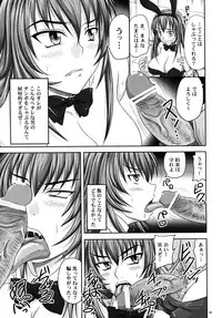 (A3) [Nozarashi (Nozarashi Satoru)] Misshitsu de Kyoubou Bunny Hime to Futarikiri.