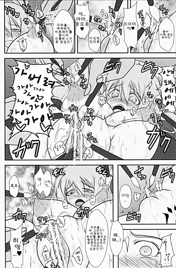 Shield Knight Elsain Vol. 9 SLAVE COLOSSEUM