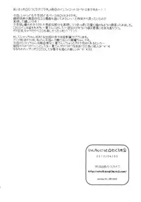 (COMIC1☆6) [Otona Shuppan (Hitsuji Takako)] Infinite ☆ Seicross 3 (IS <Infinite Stratos>)