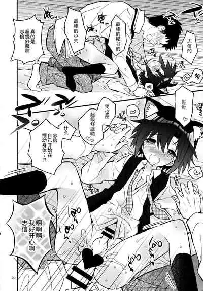 Nekomimi Hisho Drill | 猫耳秘书训练