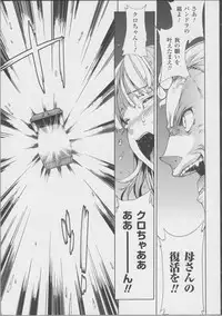 [Erect Sawaru] Pandra -Shiroki Yokubou Kuro no Kibou- II