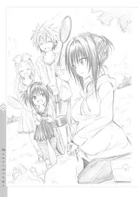 [Yabuki Kentarou] Harem Gold (To Love-ru Darkness)