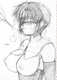 (C70) [Perceptron (Asaga Aoi)] CIEL B Summer (Tsukihime)