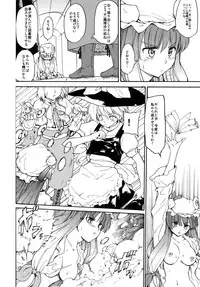 (Reitaisai 8) [PARANOIA CAT (Fujiwara Shunicihi)] Touhou Ukiyo Emaki Sairokushuu (Touhou Project)