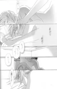 [Ronno & Kalus (Takada Bambi)] Hermaphrodite 3 (Fullmetal Alchemist) [English] [Secret Garden]