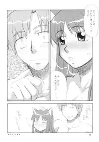 (Mimiket 18) [Himemiko Jinja (Buntaichou)] Holo to Issho (Spice and Wolf)