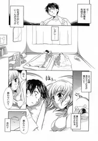 [James Hotate] Puchi Kuri