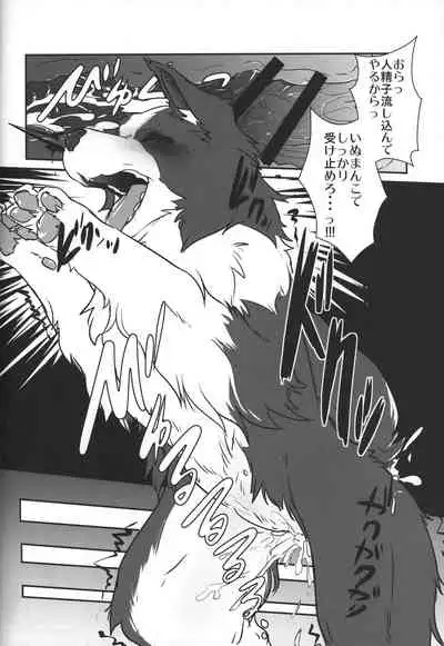 (Kansai! Kemoket 3) [PPOINO! (Various)] Boda kon