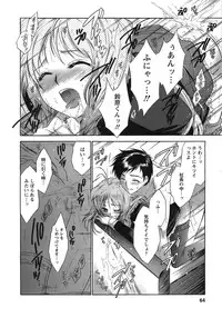 [Honda Arima] Hakonde Nyanko!