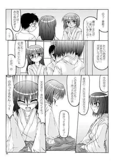 Natsu Miko Hon 2007 - On SHRINE MAIDEN summer edition 2007