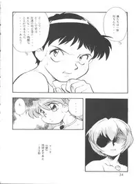 (CR22) [Studio Parfe (Dohi Kensuke)] Evan 26.5 3 (Neon Genesis Evangelion)