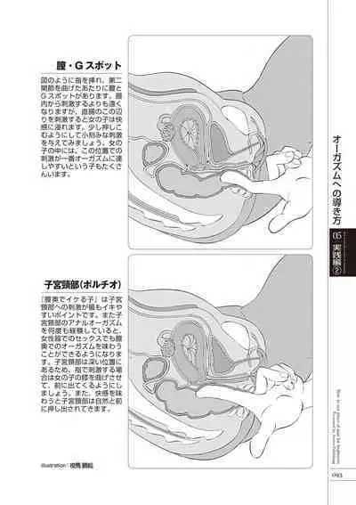 いますぐデキる 図説おしりエッチマニュアル