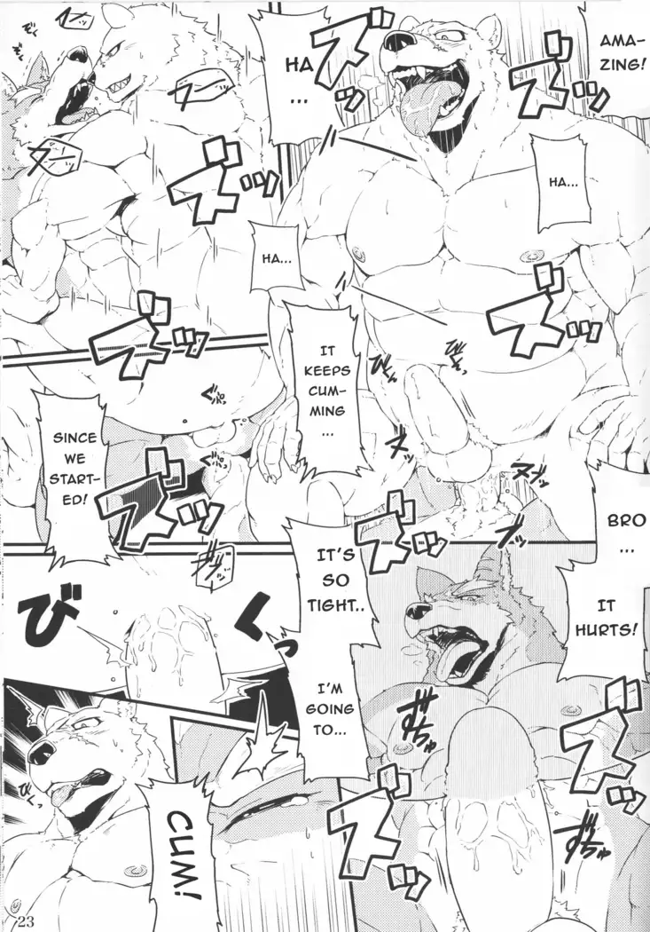 Yuusetsu Bivouac Night + Extra