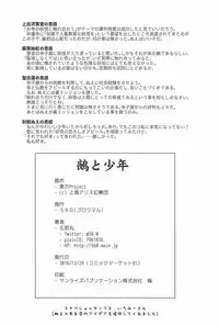 (C91) [560 (Goroumaru)] Nue to Shounen (Touhou Project)