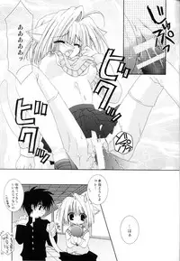 (C63) [Neko Kinryouku (NekoNeko)] Tsukineko Kyoushitsu (Tsukihime)