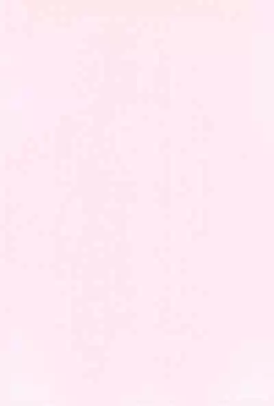 (CCTokyo95) [Dennougiwa (Takano Iori)] Pretty Tamers (Digimon Tamers)