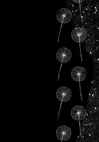 Himitsu no Ticket | 秘密的免費券