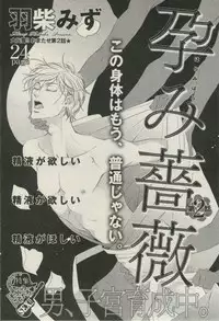 BOY'S ピアス 2014-09