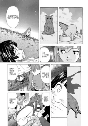 Ani to Imouto no Jijou.