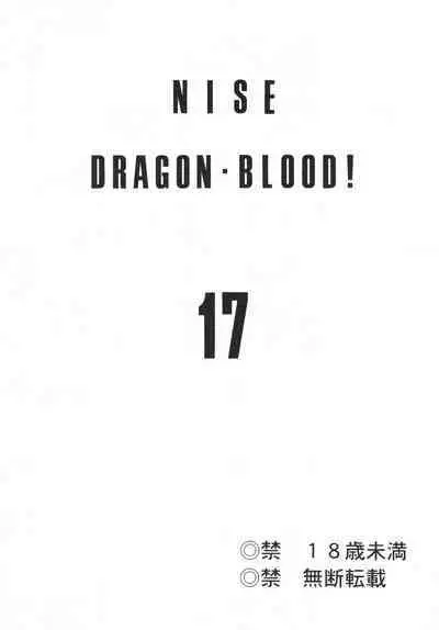 Nise DRAGON BLOOD! 17