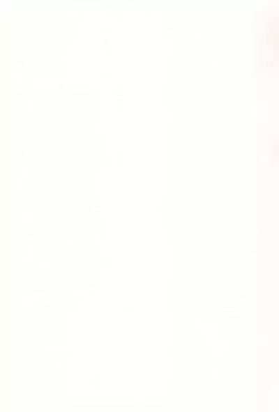 ♡♡♡ suru Onnanoko