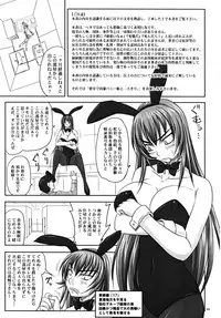 (A3) [Nozarashi (Nozarashi Satoru)] Misshitsu de Kyoubou Bunny Hime to Futarikiri.